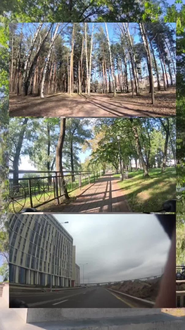Моя песня