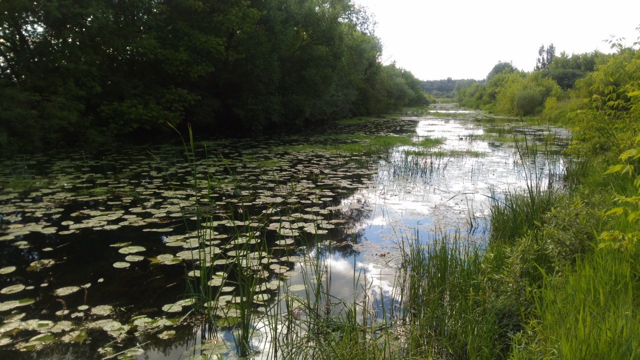 В Нижегородской области начинаются работы по расчистке рек Тёша, Сатис и Вичкинза