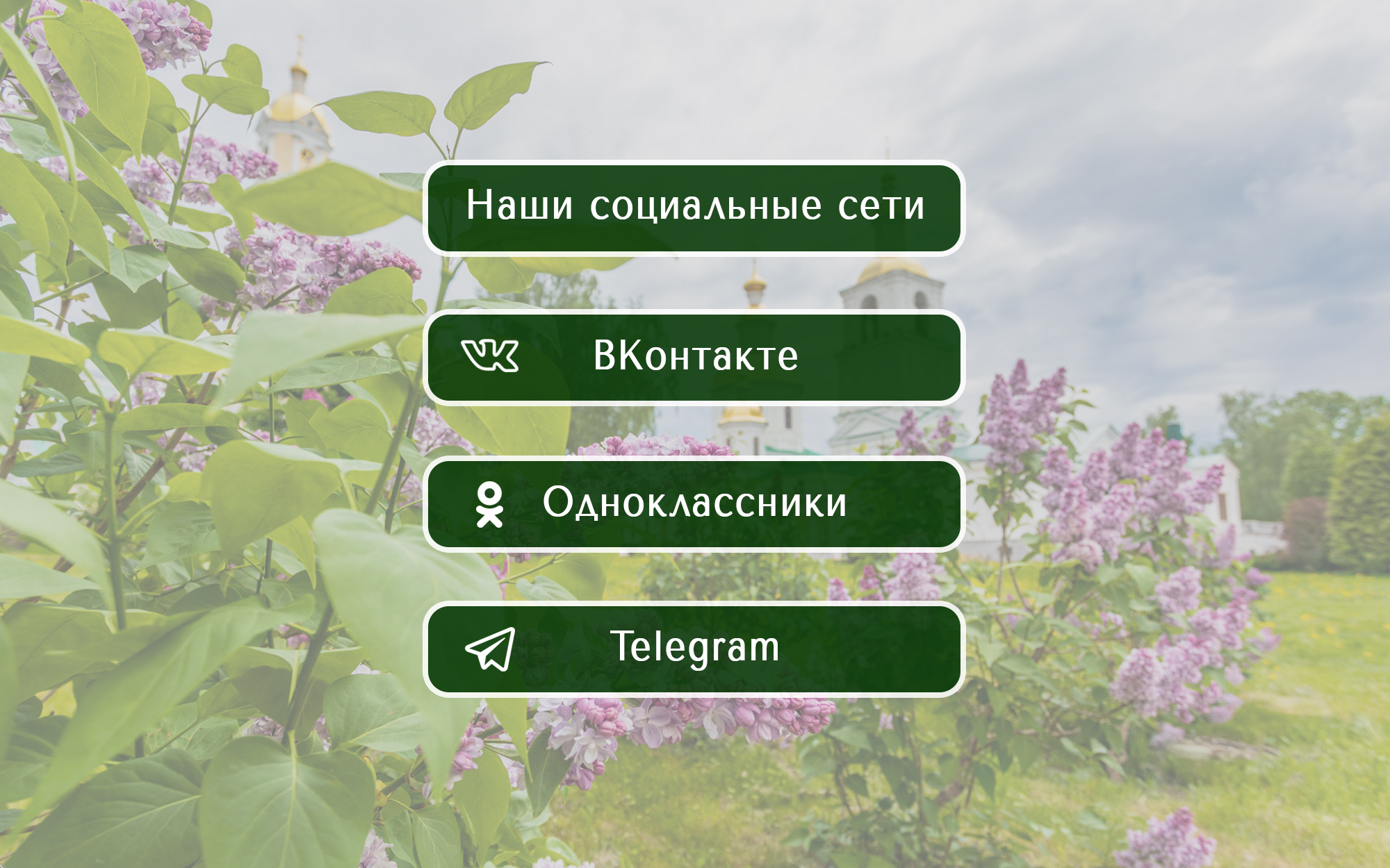 Следить за новостями Серафимовой земли теперь можно в Одноклассниках и Telegram