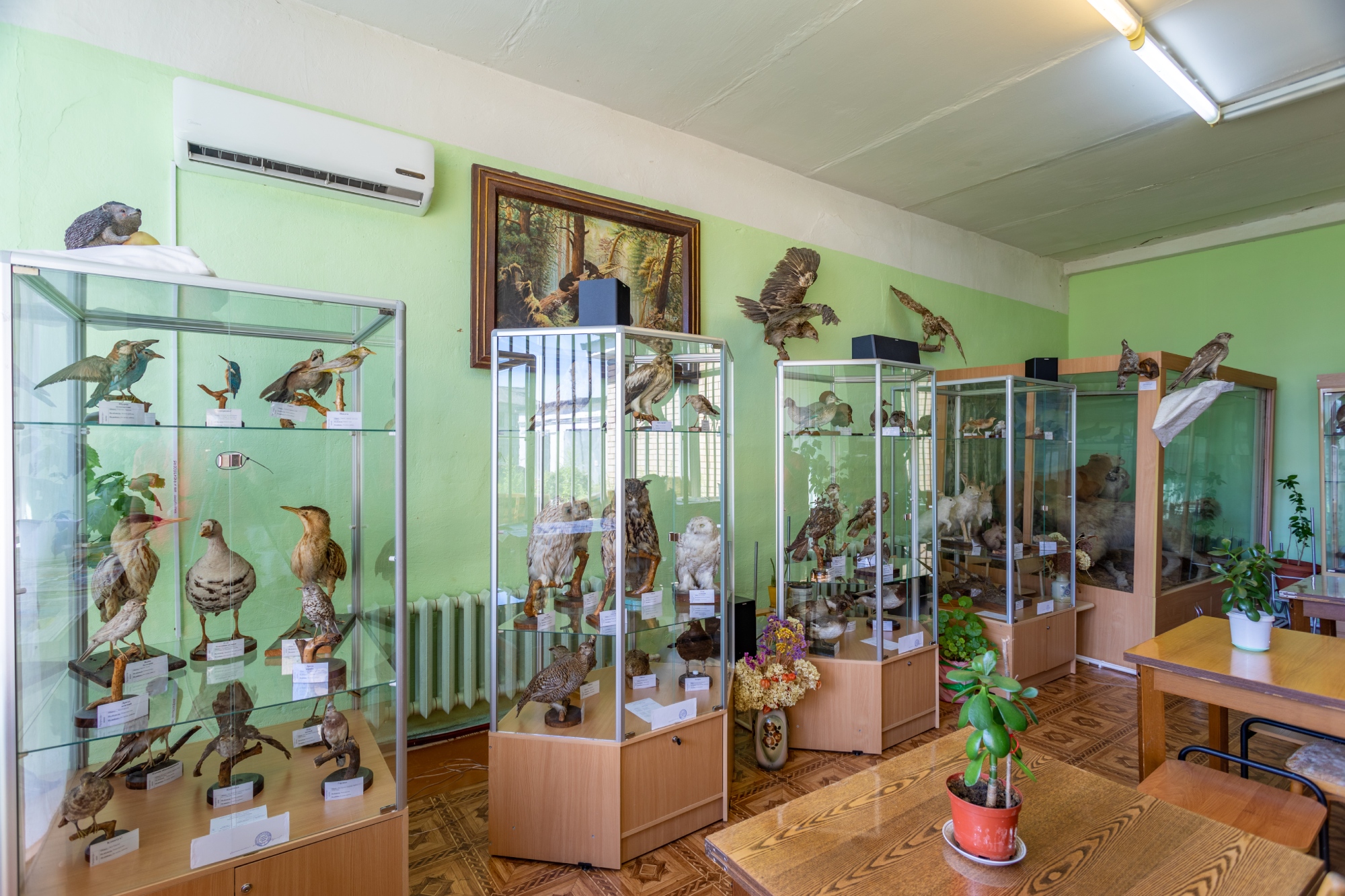 Музей Арзамасского района вошел в Ассоциацию этнографических музеев России
