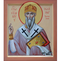 Священномученик Иоа́нн (Троянский), Великолукский, епископ