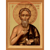 Блаженный Васи́лий Московский, Христа ради юродивый