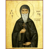 Преподобный Пата́пий Фивский, Константинопольский
