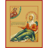 Блаженная Матро́на Анемнясевская (Белякова), Христа ради юродивая