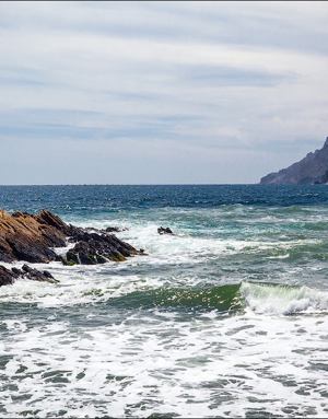 test555