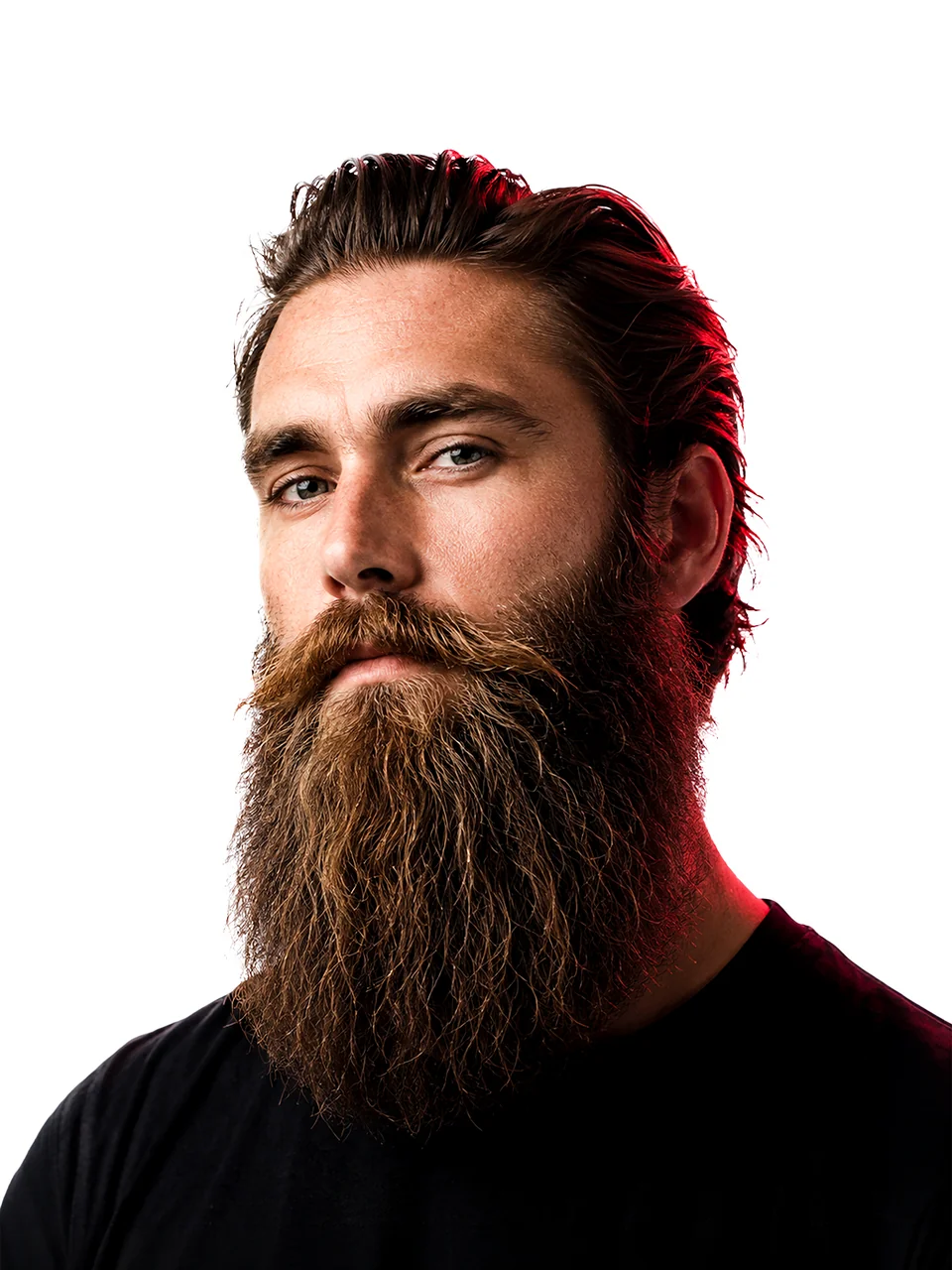 Бандхольц / Bandholz Beard, пример оформления в каталоге Shaver Family