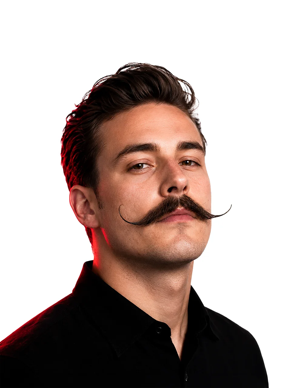 Дали / Dali Mustache, пример оформления в каталоге Shaver Family