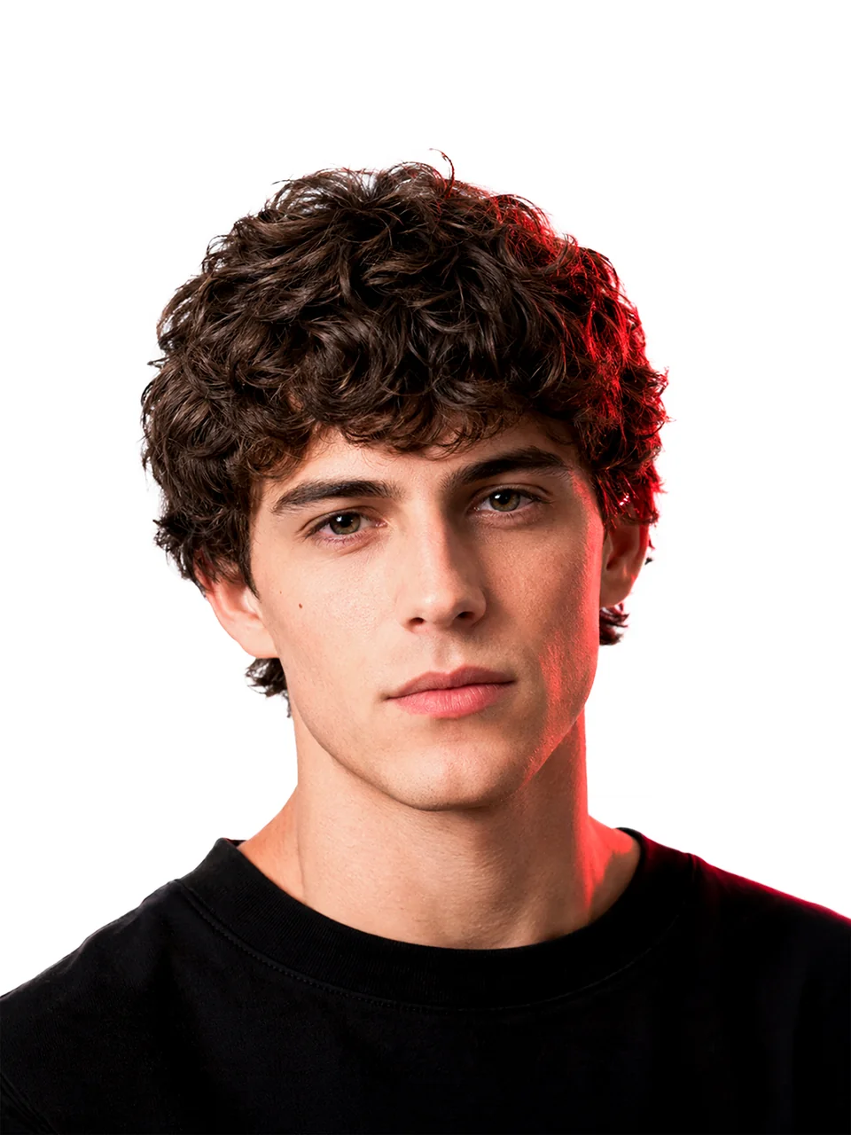 Кудрявый модкат / Curly Mod Cut, вариант мужской стрижки для кудрявых волос в каталоге Shaver Family