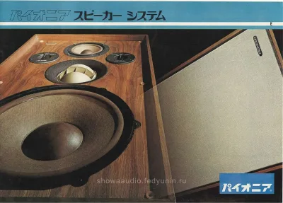 PIONEER Acoustic System