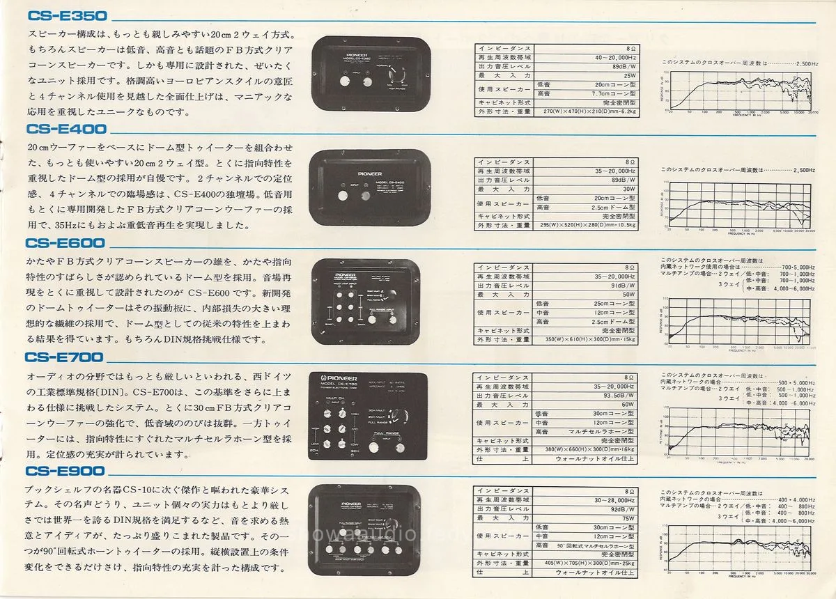 PIONEER Acoustic System — 3