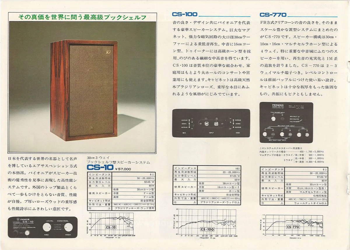 PIONEER Acoustic System — 6