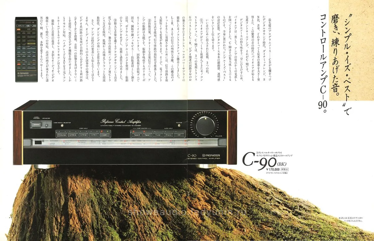 PIONEER Separate Amplifiers — 2