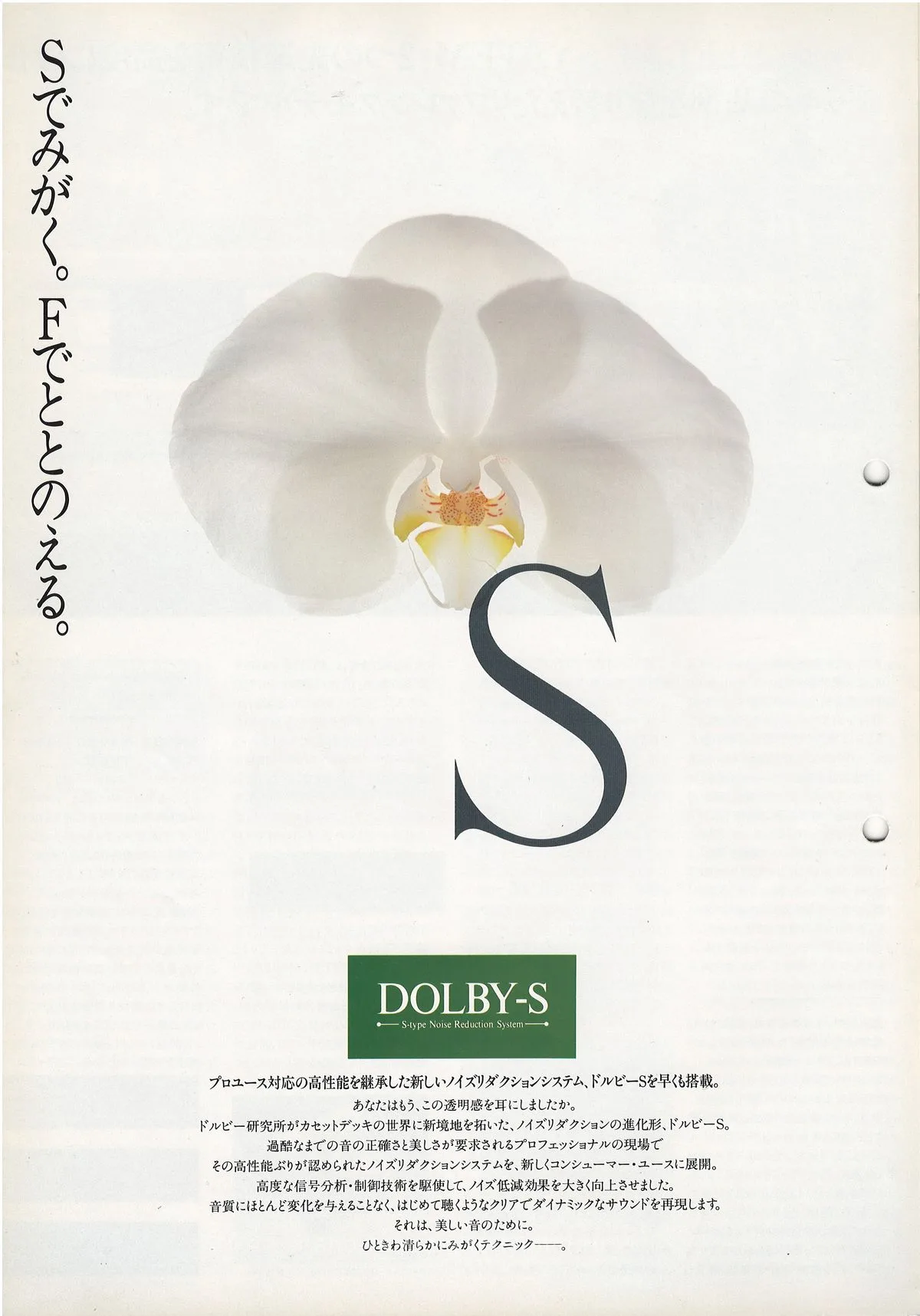 PIONEER Tape Decks — extra 1