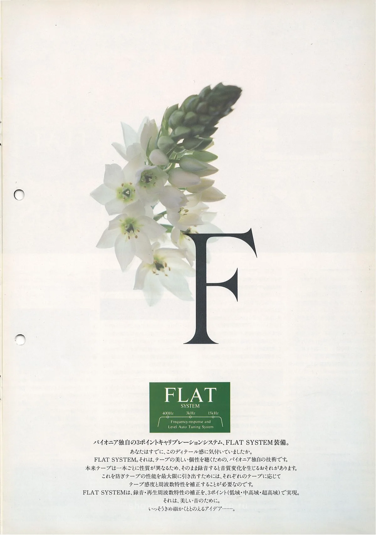 PIONEER Tape Decks — extra 2