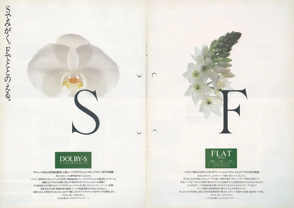 PIONEER Tape Decks — 2