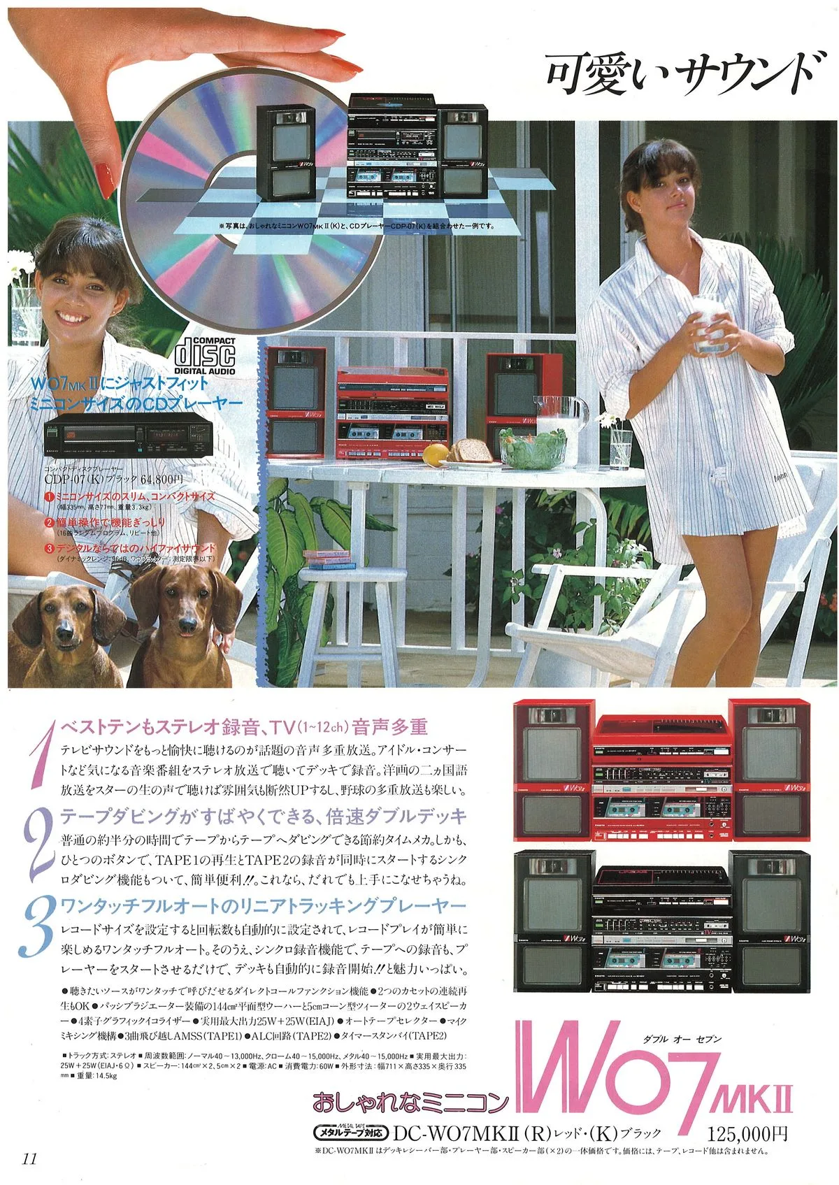 SANYO Boomboxes & Karaoke — 12
