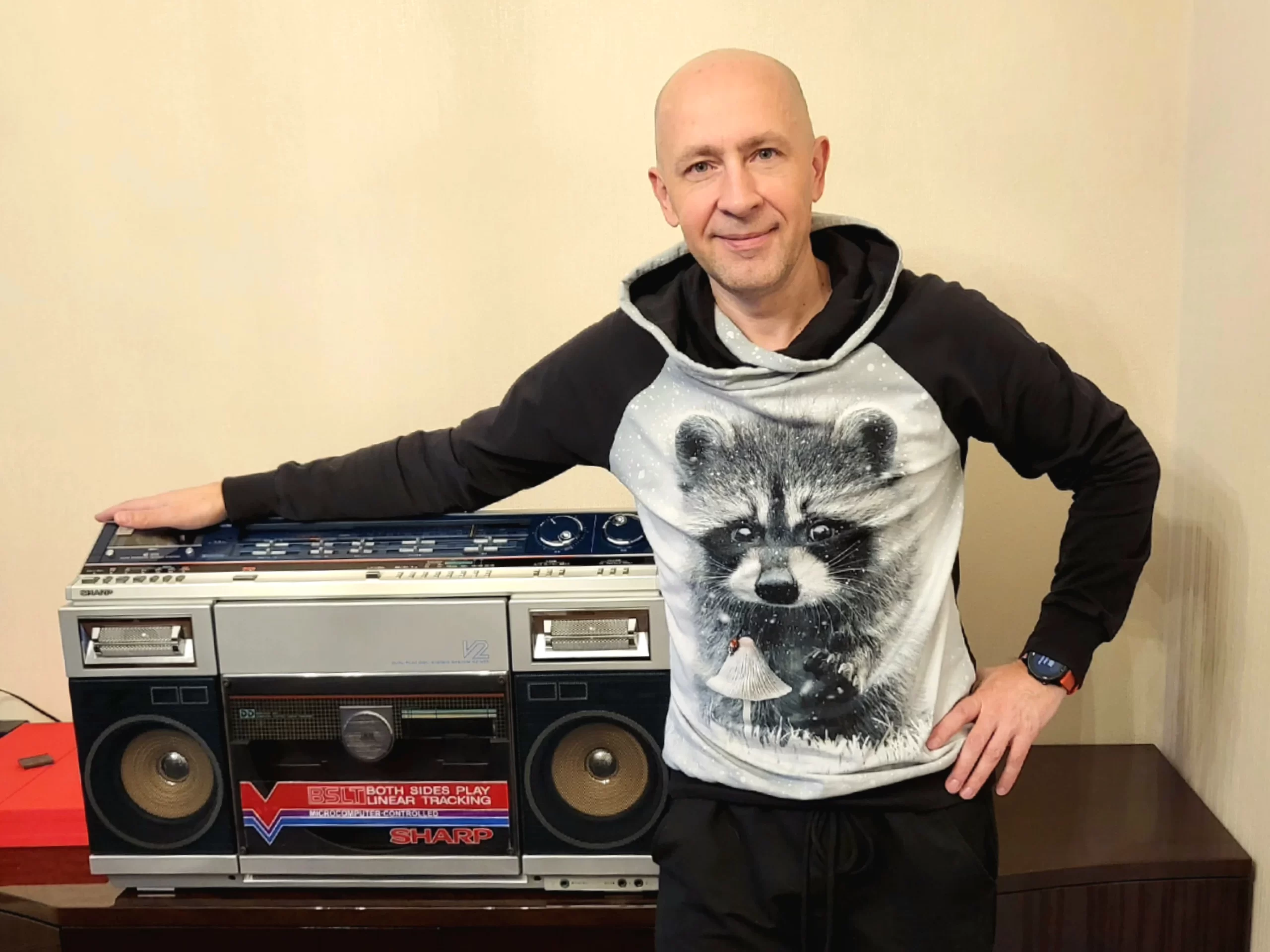 Sharp VZ-V2S in an interior setting