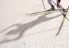 FIS наказала Норвегию за нарушение правил тестирования лыж на Олимпиаде-2026 FIS наказала Норвегию за нарушение правил тестирования лыж на Олимпиаде-2026