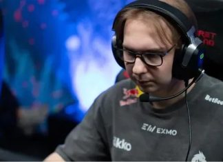 Маэлшторм отметил ключевую роль Панто в успехах Team Spirit после ухода Мипошки Маэлшторм отметил ключевую роль Панто в успехах Team Spirit после ухода Мипошки