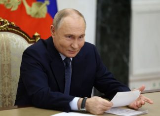 Путин поздравил российских боксёров с наградами Путин поздравил российских боксёров с наградами