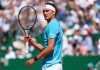 Объявлена сетка турнира ATP-500 в Мюнхене: Зверев против Кецмановича в первом круге Объявлена сетка турнира ATP-500 в Мюнхене: Зверев против Кецмановича в первом круге