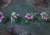 В мастерской Dota 2 вышел выпуск №293 В мастерской Dota 2 вышел выпуск №293