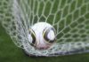 Россия U16 разгромила Азербайджан на турнире УЕФА Россия U16 разгромила Азербайджан на турнире УЕФА