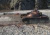 World of Tanks и One More Tree проводят акцию по восстановлению лесов с 1 World of Tanks и One More Tree проводят акцию по восстановлению лесов с 1
