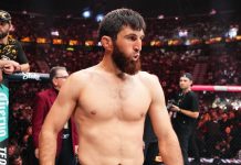 Анкалаев подписал контракт на следующий бой UFC Анкалаев подписал контракт на следующий бой UFC