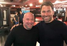 Хирн заявил о падении качества UFC Хирн заявил о падении качества UFC