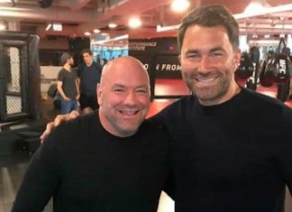 Хирн заявил о падении качества UFC Хирн заявил о падении качества UFC