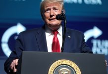 Трамп назвал сроки подготовки арены UFC Трамп назвал сроки подготовки арены UFC