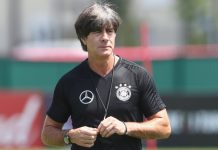 Лев не ждет скорого возвращения в футбол Лев не ждет скорого возвращения в футбол