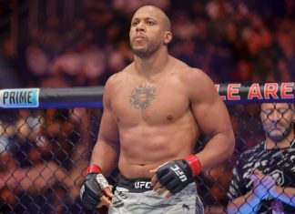 Сириль Ган досрочно выиграл у Алекса Перейры в бою за временный пояс UFC Сириль Ган досрочно выиграл у Алекса Перейры в бою за временный пояс UFC