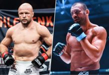 Шлеменко досрочно выиграл в дебютном бое в АСА Шлеменко досрочно выиграл в дебютном бое в АСА
