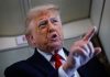Адам Сильвер признал Дональда Трампа настоящим болельщиком «Никс» Адам Сильвер признал Дональда Трампа настоящим болельщиком «Никс»