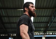 Василевский: Гуськов не сможет ничего противопоставить Анкалаеву Василевский: Гуськов не сможет ничего противопоставить Анкалаеву