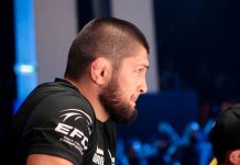 Нурмагомедов прокомментировал победу Бельгии над Сенегалом Нурмагомедов прокомментировал победу Бельгии над Сенегалом