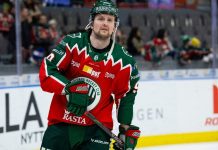 Двукратный обладатель Кубка Гагарина считает пример Вайссбака показательным для европейцев Двукратный обладатель Кубка Гагарина считает пример Вайссбака показательным для европейцев