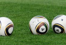 Попугай прервал эпизод в матче «Фламенго» U15 Попугай прервал эпизод в матче «Фламенго» U15