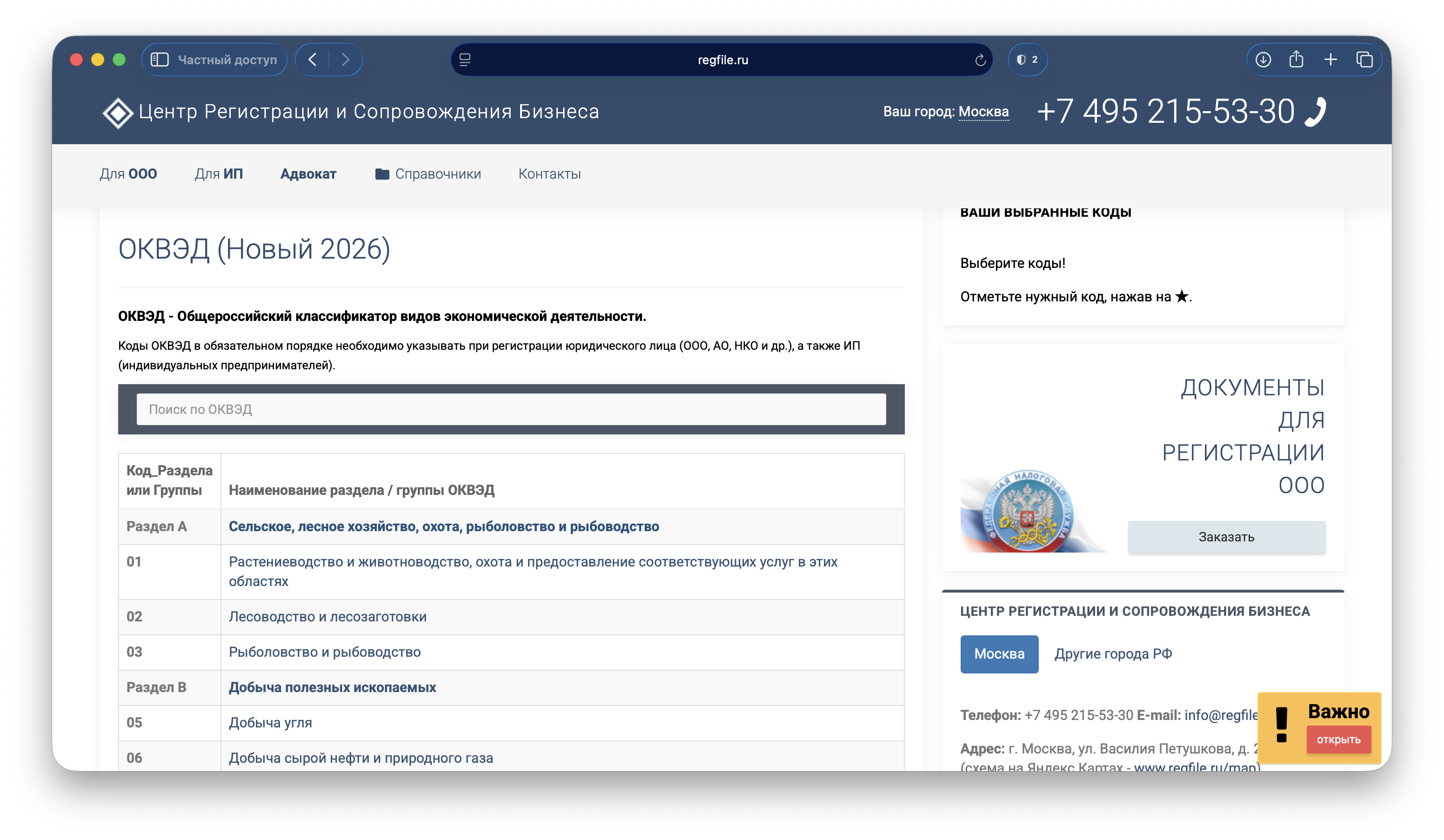 Что такое ОКВЭД: простое объяснение и практический смысл для ИП и ООО