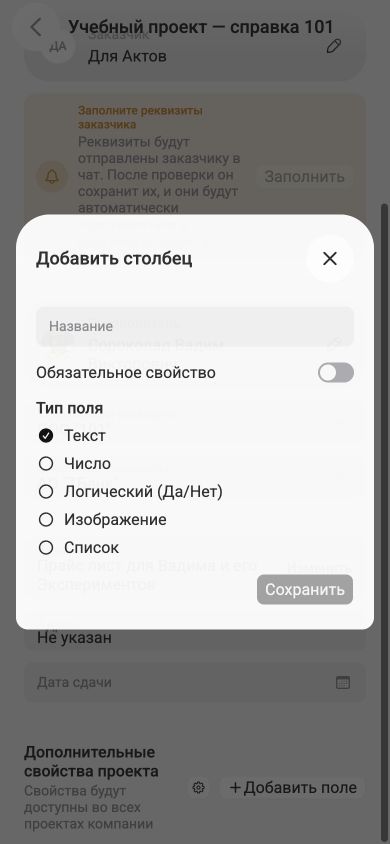 Форма дополнительного свойства проекта с названием, обязательностью и выбором типа