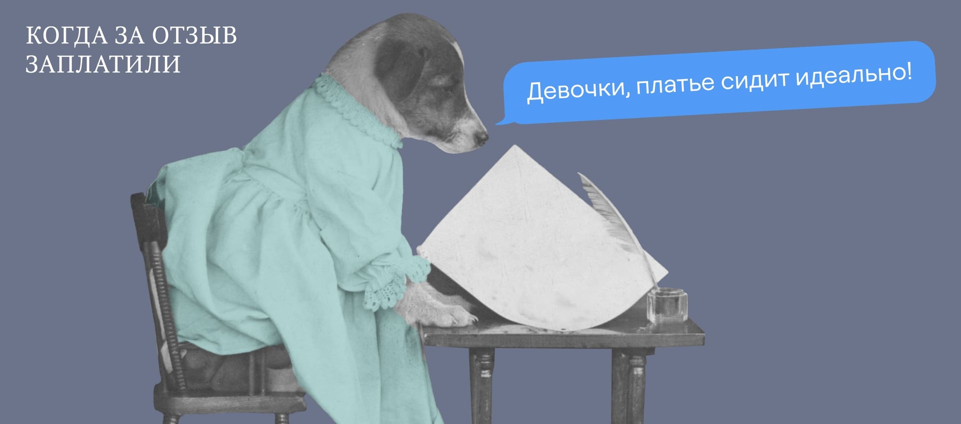 9 примеров, как успешно попросить отзыв у клиента