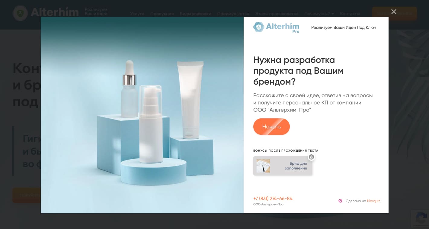 Бриф попапом на сайте