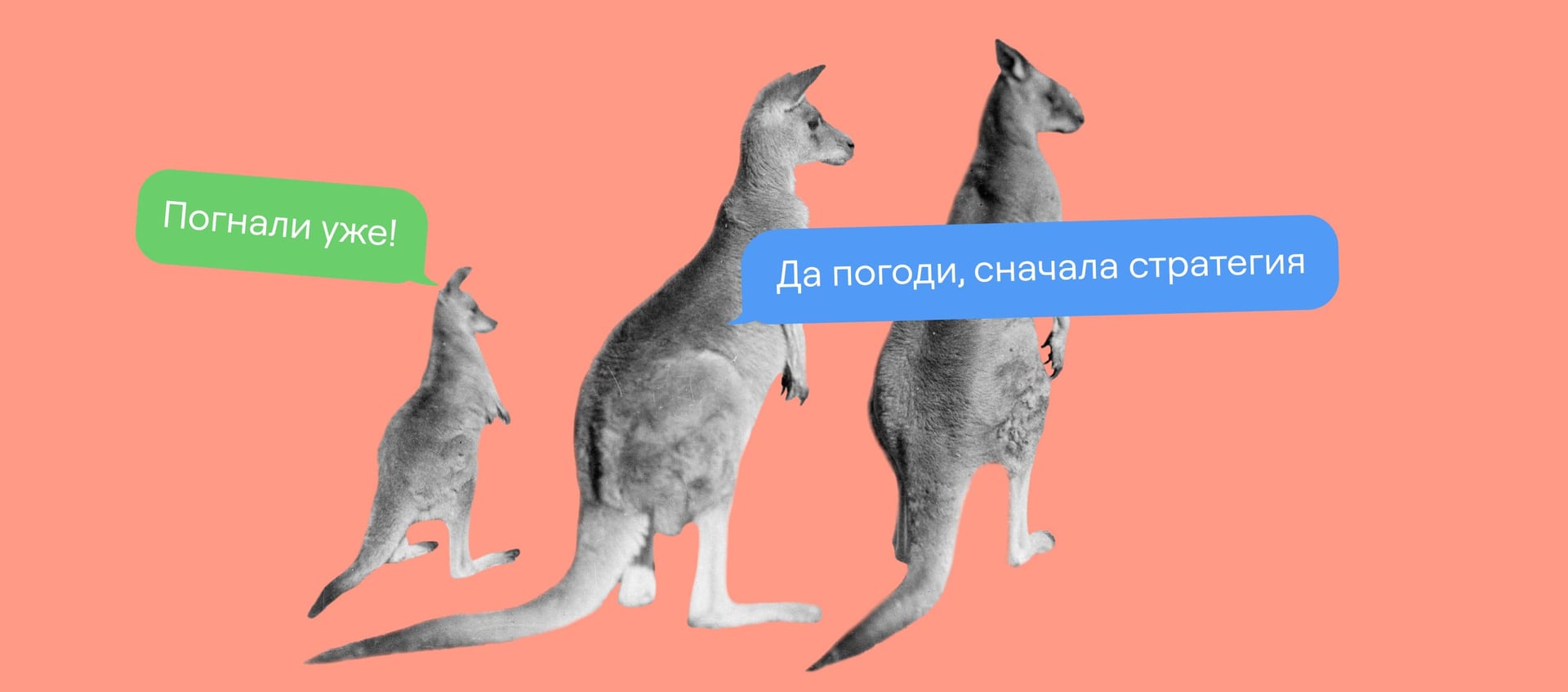 3 идеи, как внедрить квизы в свою воронку продаж и получить больше заявок