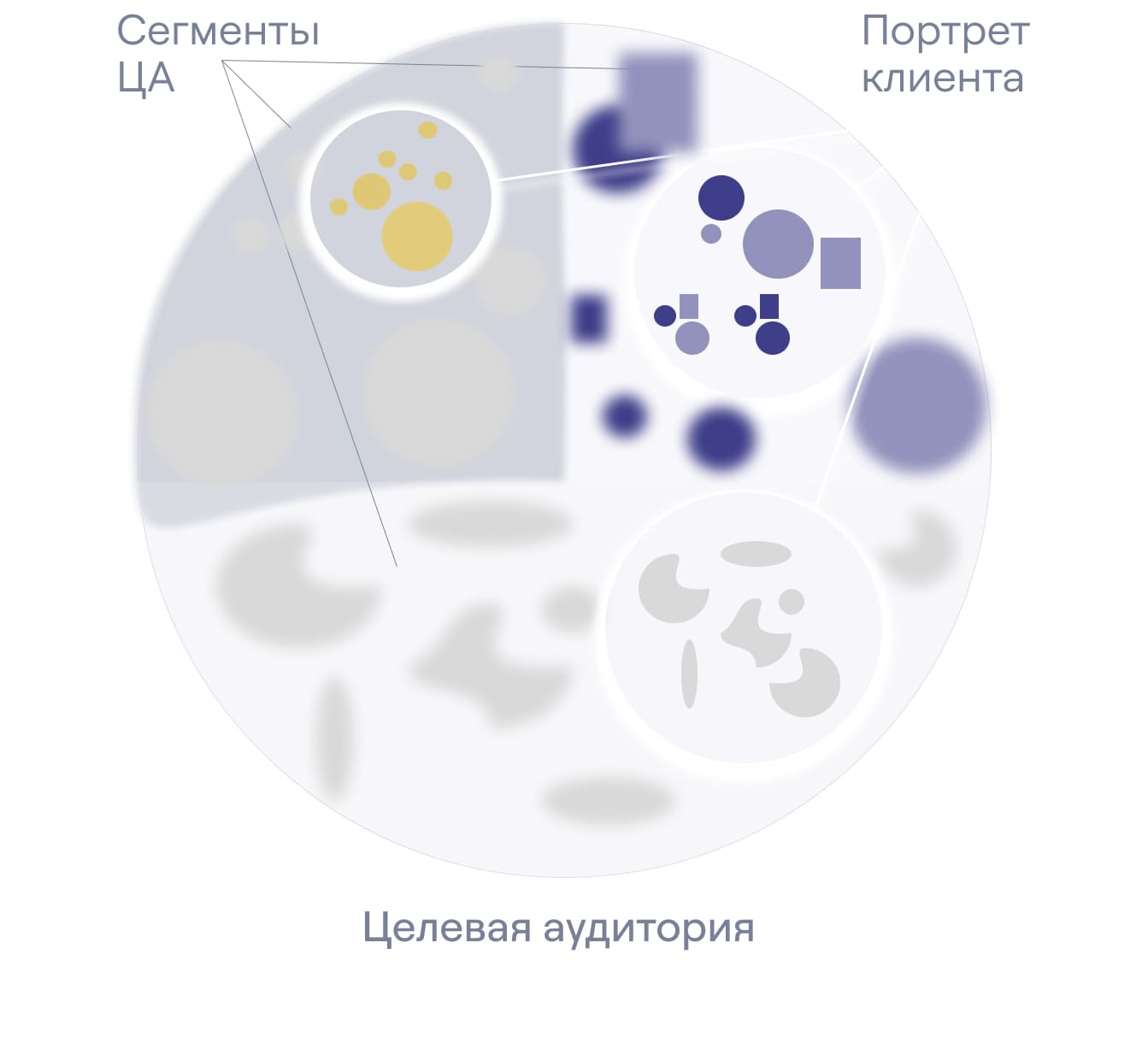 Отличие сегмента ЦА и портрета ЦА