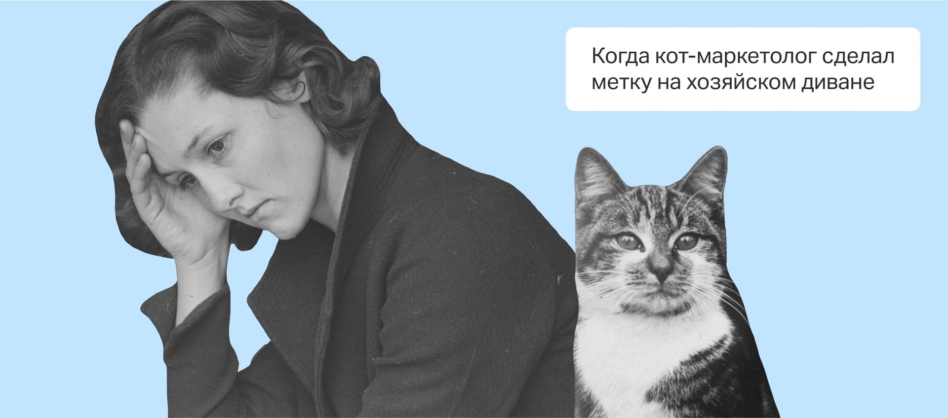 Всё, что нужно знать о UTM-метках