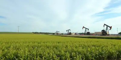 Товары определяют рынок: от нефти до урожая