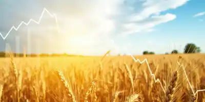 Снижение цен на пшеницу на фоне роста глобальных поставок