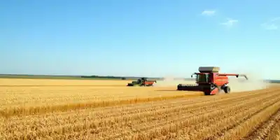 Снижение рентабельности в АПК: вызовы для российских аграриев